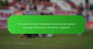 Formación de Opción Extendida: Decisiones del mariscal de campo, Roles de los corredores, Espaciado