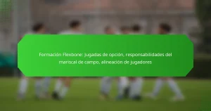 Formación Flexbone: Jugadas de opción, responsabilidades del mariscal de campo, alineación de jugadores
